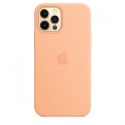 Acc.   iPhone 12/12 Pro Apple Case MagSafe Cantaloupe (Copy) () ()