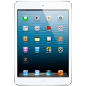  Apple iPad mini 32Gb WiFi White ()