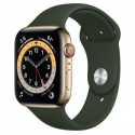 Годинники Apple Watch Series 6 GPS + LTE 44mm Gold STEEL Case w. C/G Sport B (M07N3/M09F3)
