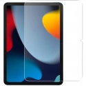 Ac.    iPad 10.9 (2022) Clear iLera Infinity iPad (iLIPG03)
