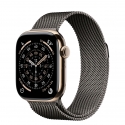 ��������� Apple Watch Series 11 GPS+LTE 46mm Gold Titanium C Slate Milanese Loop S/M (MFC34+MGJ64)